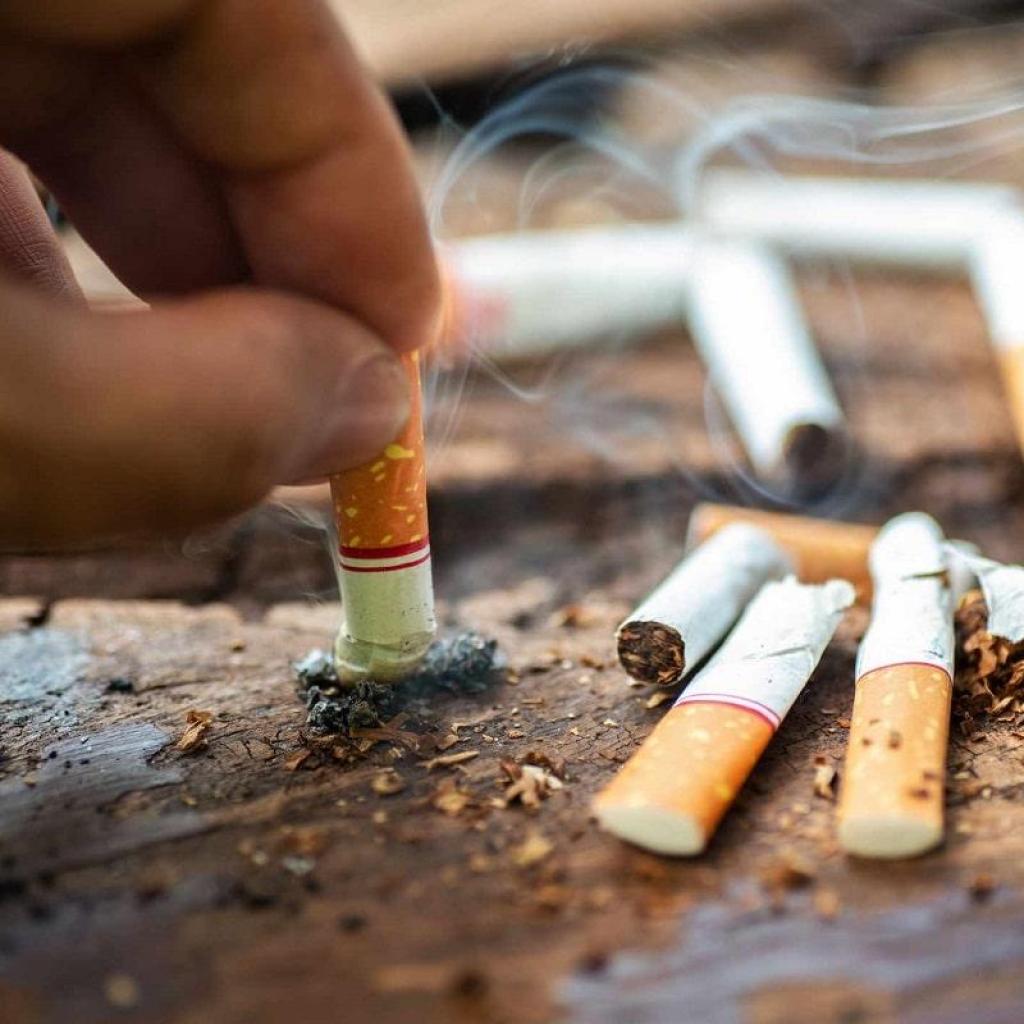 UAE Introduces Tobacco-Free Nicotine Pouches to Aid Smoking Cessation