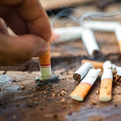 UAE Introduces Tobacco-Free Nicotine Pouches to Aid Smoking Cessation